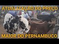 Feira De Gado cachoeirinha Pernambuco! 28-10-2021