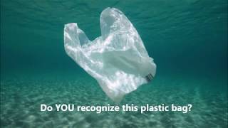 Plastic Bag PSA