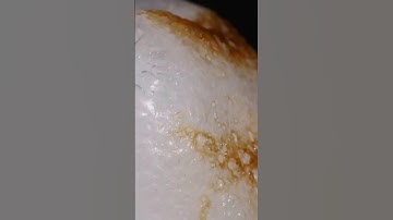 Glue stick vs fire | Macro #satisfying #macro #asmr #asmreating #closeup #zoom #experiment