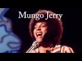 Mungo jerry  greates hits  megamix 1hour
