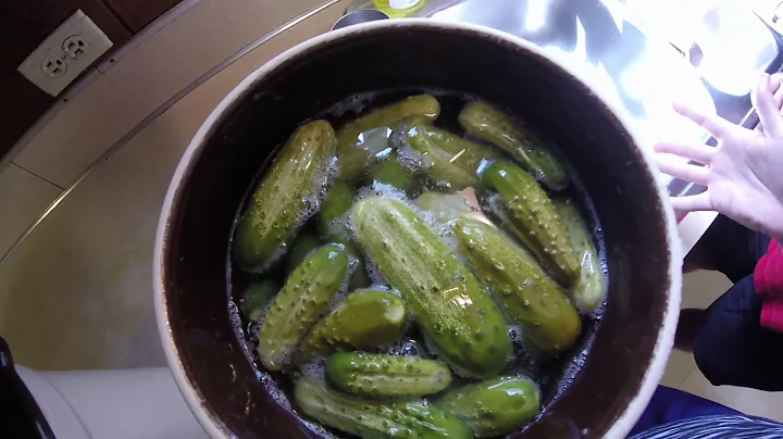 Easy and Delicious Fermented Sweet Pickle Recipe