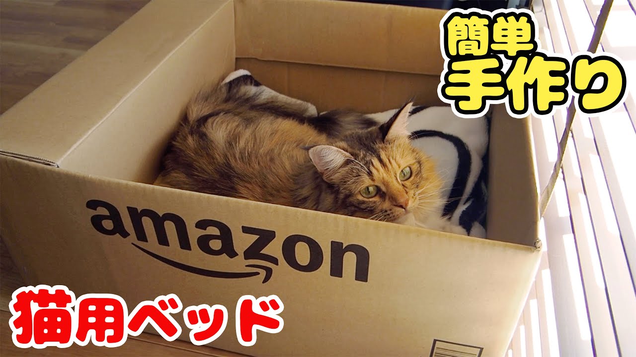 猫 ベッド ダンボール