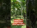 Selamat pagi petani