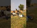 Allah Tala ke madad 😭 #ytshorts #news #prayer #today #trending #emotional #shorts