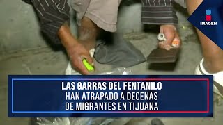Las garras del fentanilo han atrapado a decenas de migrantes en Tijuana | Noticias Ciro Gómez Leyva