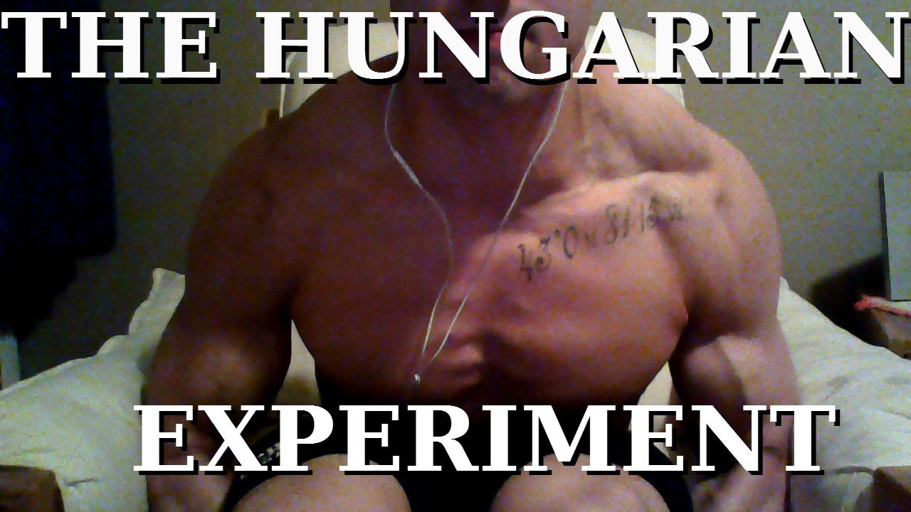 The Hungarian Experiment - Transformation and Intro