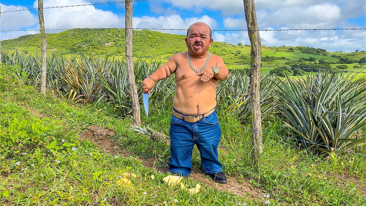 PILILIU SE LASCOU NO ROÇADO DE ABACAXI | PILILIU DA RESENHA