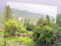Beautiful Nature In North Of Iran 🌲🌳🌴🌱🌧️☁️