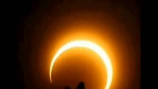 Nilüfer Sultan Imon