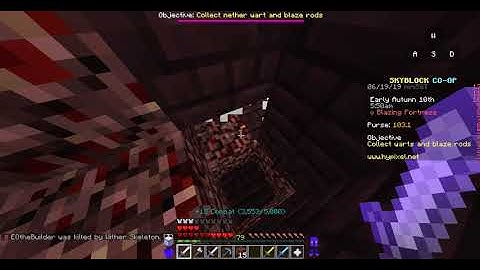 "BUG" REPORT / Hypixel.net