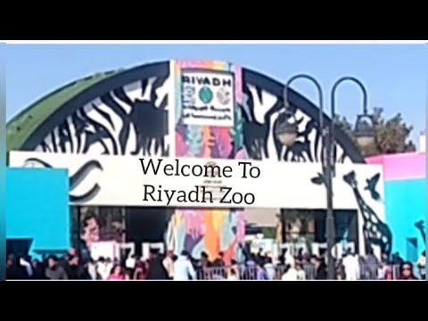 Welcome to Riyadh Zoo 01/31/25