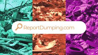 REPORT DUMPING TV30
