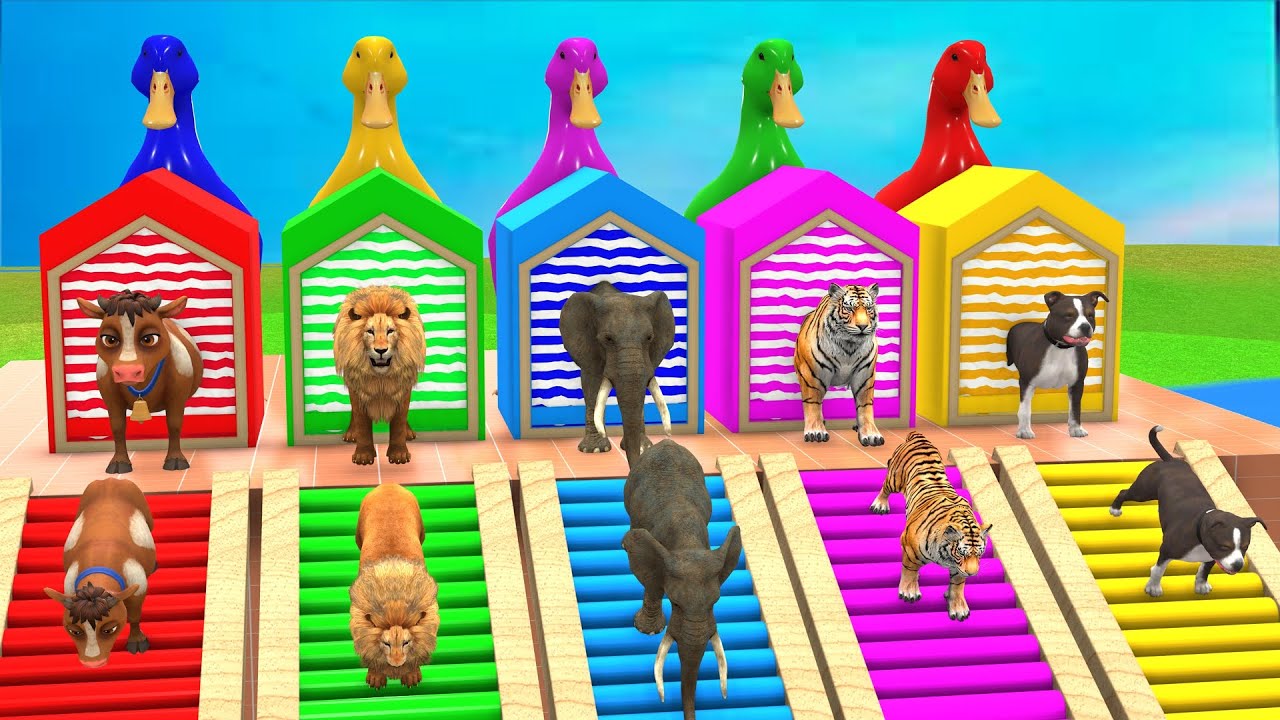 Long Slide Game with Cow Elephant Gorilla Hippopotamus Tiger 3d Animal Game Funny 3d Animals