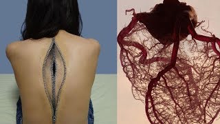 人体にまつわる真実に、あなたは驚...