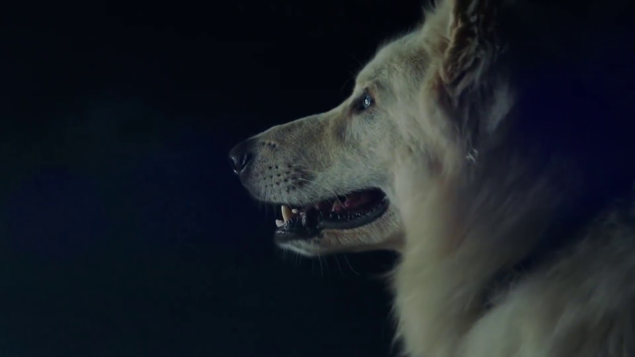 Range Rover Velar - Luxury SUV - Commercial - Trailer - Teaser