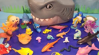 Sea Animal Toys| Sea animal names & Facts for kids