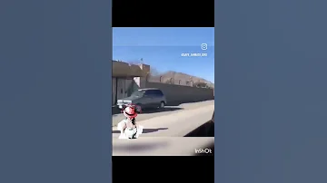 همی گرمی تابستان گایم زن دولت پاکستان گایم 