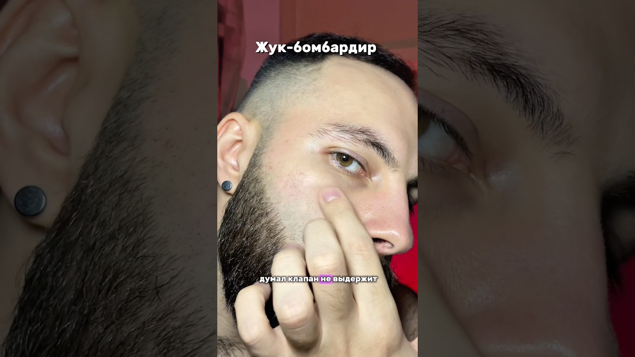 Жук-бомбардир арт на WB: WW197585 