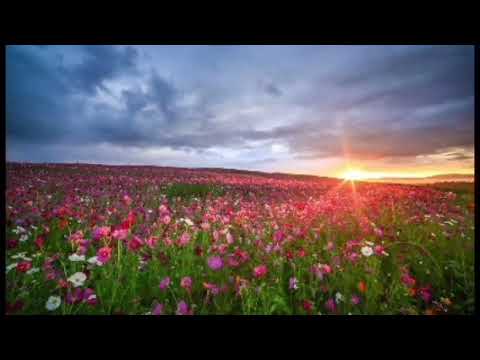 One Step Forward By Samsung