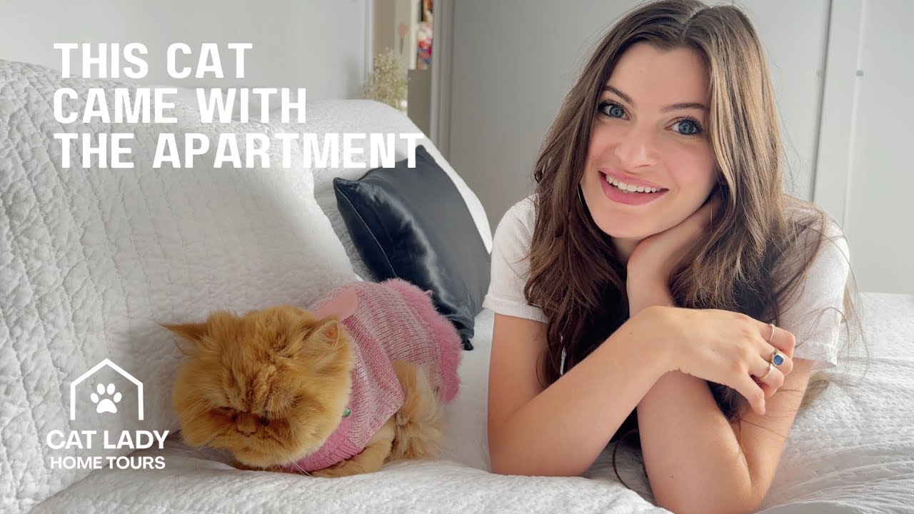 Is her landlord a Persian cat? | Cat Lady Home Tour