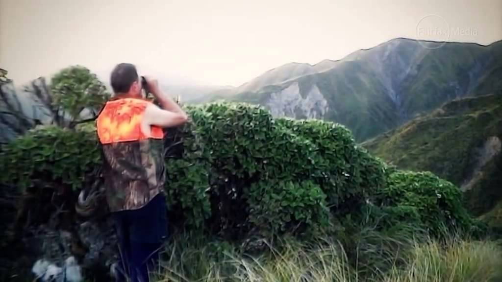 Hunting in New Zealand national parks