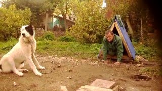 Не повторять!очень опасно!18 20 