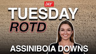 Race 2 @ Assiniboia Downs | DRF Tuesday ROTD | October 7, 2025