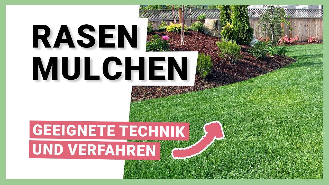 Rasen mulchen  Geeignete Technik und Verfahren