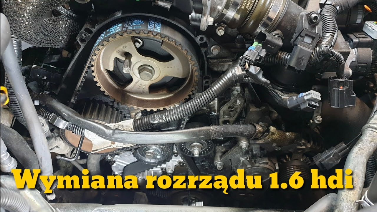 Wymiana rozrządu 1.6 Hdi Citroen, Peugeot, Ford, Mazda i Volvo - YouTube