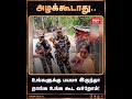 🔥உங்க பொண்ணு மாதிரி நாங்க இருக்கோம்… பயப்படாம வந்து ஓட்டு போடுங்க!