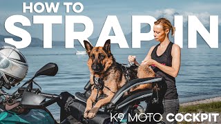 How to secure your dog into their K9 Moto COCKPIT motorcycle dog carrier!