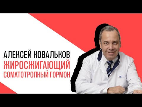 «Есть или не есть», проект Алексея Ковалькова