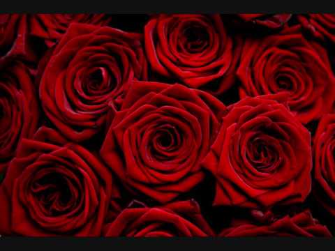 Flowers are red- by Zain Bhikha feat. Dawud Wharnsby Ali & Muhammad Bhikha