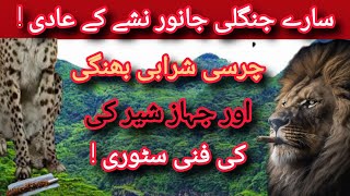 What Happens When The Jungle Gets High? Jungli Janwar Nashay Me