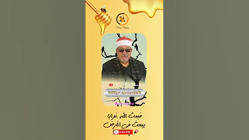 فبعث الله غرابا يبحث في الأرض عندما يبدع الشيخ السيد سعيد 