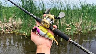 This Is The BEST State To Catch Tons Of Fish!