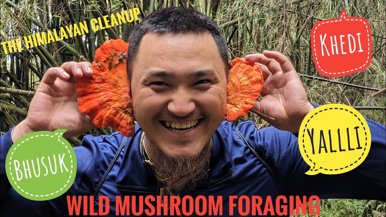 Khedi trek, Mushroom forage, Himalayan CleanUp @Yalli-Bhusuk, East ...