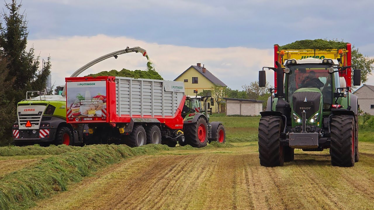 ⭐️🇵🇱 Zbiór Traw Sieczkarnią UR Kieł-Rol | Pierwszy pokos z Fendami | W GR Zdun