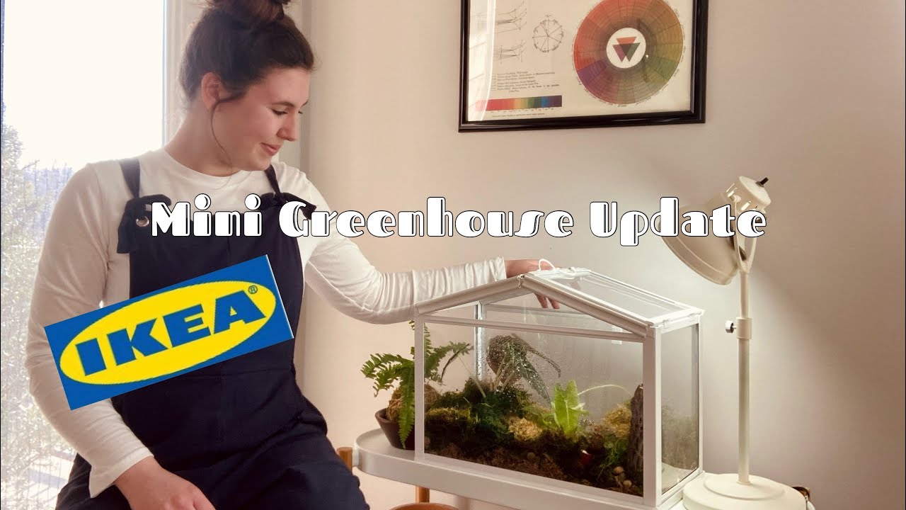 IKEA Mini Greenhouse (SOCKER) Update YouTube