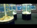 180423 21 サンピアザ水族館：2 1階 の動画、YouTube動画。