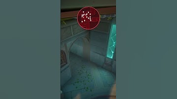 An Actual God Sova Recon for "B Site" On Lotus!