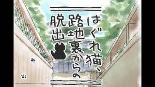 脱出ゲーム はぐれ猫、路地裏からの脱出(END 1 2 3) Escape game : Lost Cat Story(END 1 2 3) screenshot 4