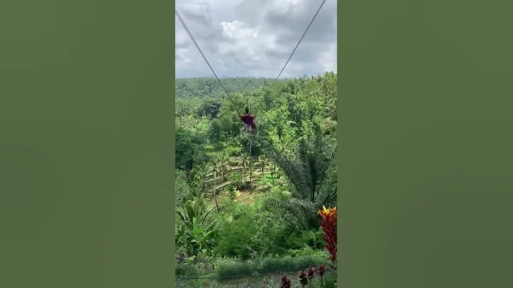 Bali Swing