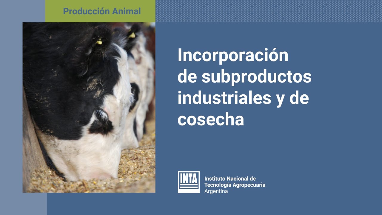 Aspectos de la alimentación eficiente en el engorde a corral