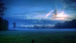 2 Hours of Relaxing Celtic Music - Morning Dew by Adrian von Ziegler 22,058 views 1 month ago 2 hours, 5 minutes