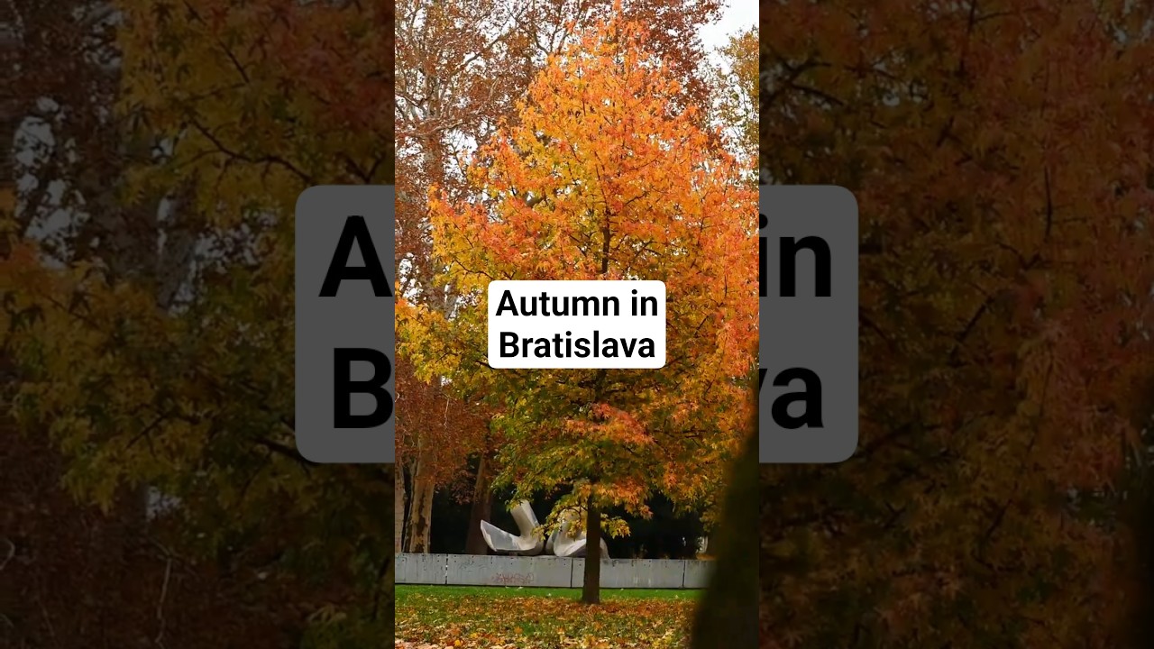 Bratislava’s Most Romantic Autumn Walk | Janko Kral Park | maponaut.sk