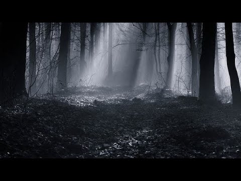 Wolf Quan - Your Glory (ft. ARINA) [Lyric Video]