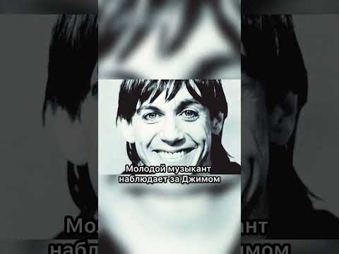 Становление легенды панк-рока после неудачного концерта The Doors