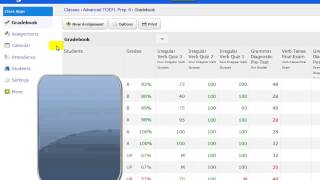 ELP Irregular Verb Quiz Percentages and Engrade screenshot 4