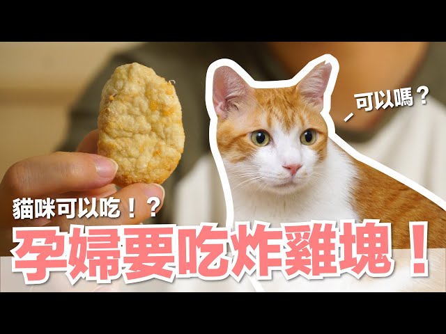 【好味小姐】孕婦要吃炸雞塊！貓咪可以吃？！｜貓副食｜好味貓鮮食廚房EP192 ft.飛利浦氣炸鍋